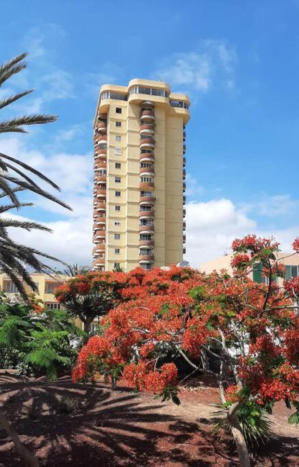 Estudio Coqueto Torres Del Sol อาโรนา ภายนอก รูปภาพ